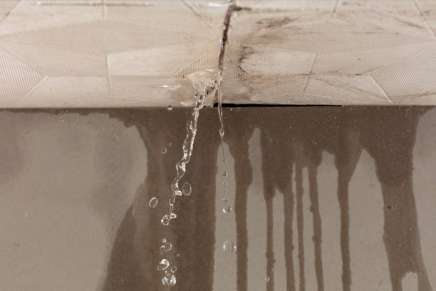 Professional Flood Damage Cleanup technician working in Swans Island, ME